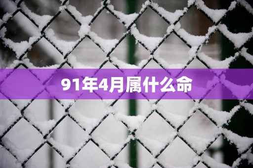 91年4月属什么命