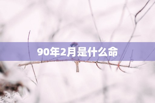 90年2月是什么命