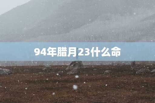 94年腊月23什么命