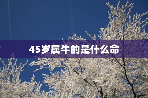 45岁属牛的是什么命