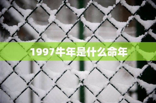 1997蛇年是什么命年