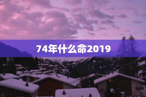 74年什么命2019