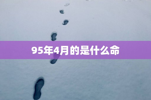 95年4月的是什么命