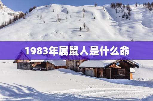 1983年属鼠人是什么命