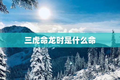 三虎命龙时是什么命