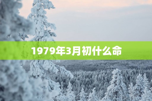 1979年3月初什么命