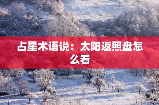 占星术语说：太阳返照盘怎么看