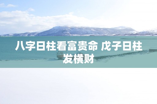 八字日柱看富贵命 戊子日柱发横财