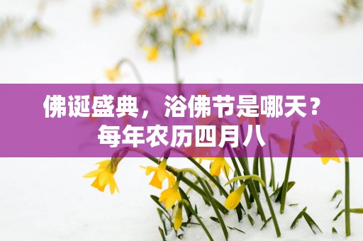 佛诞盛典，浴佛节是哪天？每年农历四月八