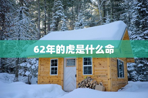 62年的虎是什么命