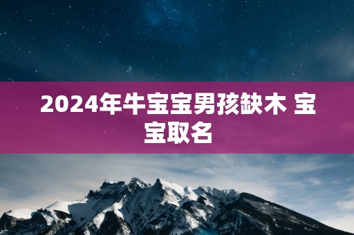 2025年牛宝宝男孩缺木 宝宝取名