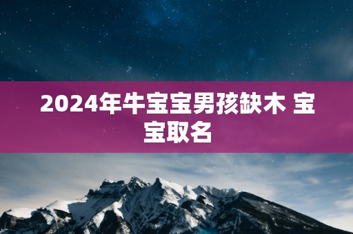 2024年牛宝宝男孩缺木 宝宝取名