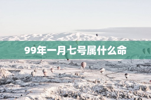 99年一月七号属什么命