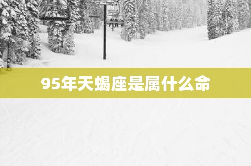 95年天蝎座是属什么命