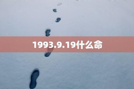 1993.9.19什么命