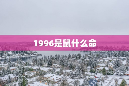 1996是鼠什么命