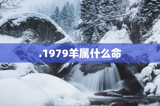 .1979羊属什么命