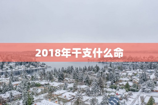 2018年干支什么命