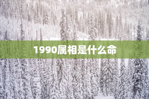 1990属相是什么命