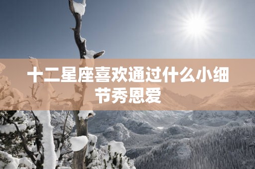 十二星座喜欢通过什么小细节秀恩爱
