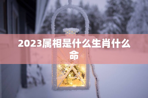 2025属相是什么生肖什么命