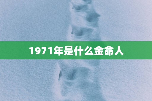 1971年是什么金命人