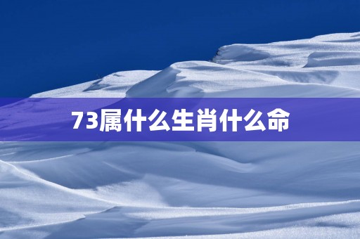 73属什么生肖什么命
