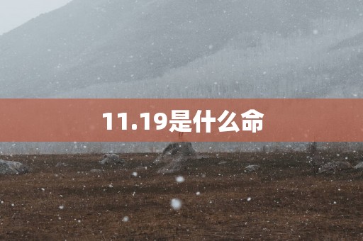 11.19是什么命