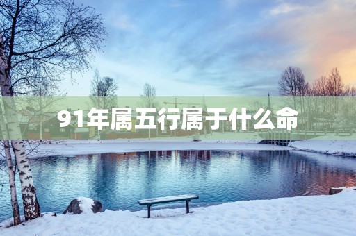 91年属五行属于什么命