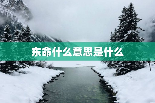 东命什么意思是什么