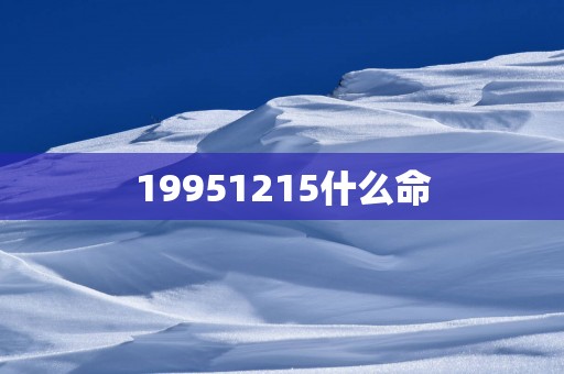 19951215什么命