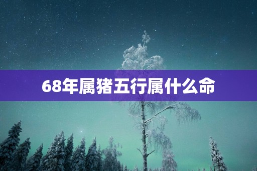 68年属猪五行属什么命