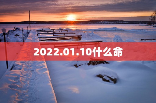 2025.01.10什么命