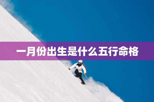 一月份出生是什么五行命格