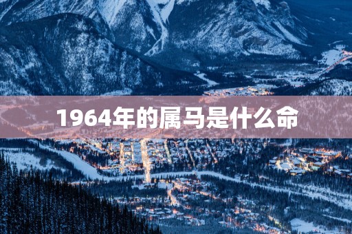 1964年的属马是什么命
