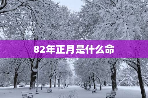 82年正月是什么命