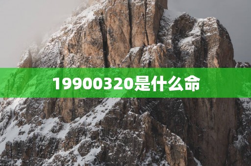 19900320是什么命