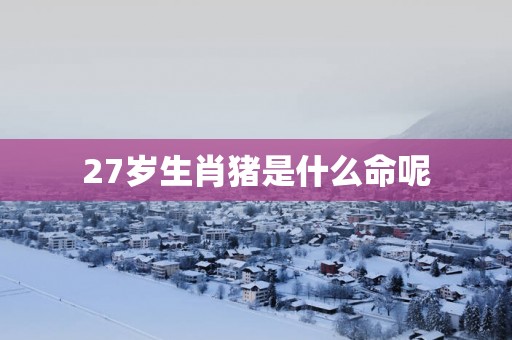 27岁生肖猪是什么命呢