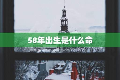 58年出生是什么命