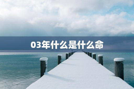 03年什么是什么命