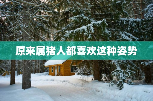 原来属猪人都喜欢这种姿势