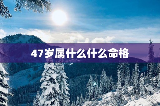 47岁属什么什么命格