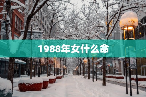1988年女什么命