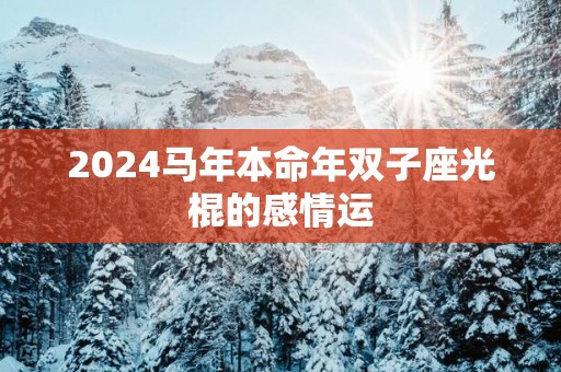 2025马年本命年双子座光棍的感情运