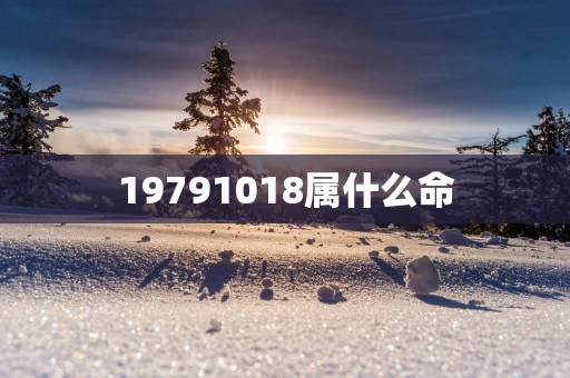 19791018属什么命