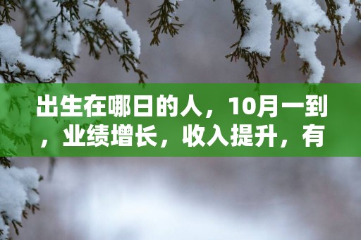 出生在哪日的人，10月一到，业绩增长，收入提升，有好运到来！