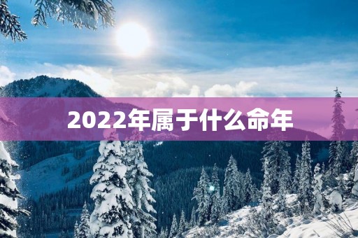 2025年属于什么命年
