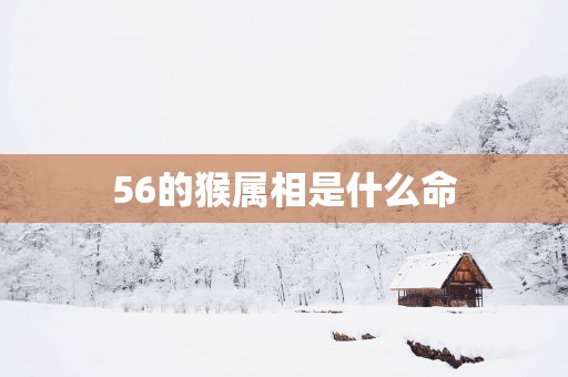 56的猴属相是什么命