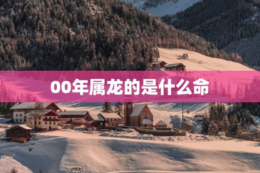 00年属龙的是什么命