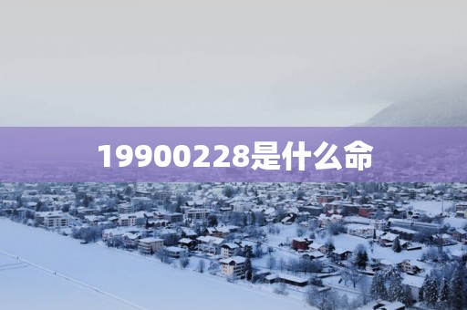 19900228是什么命
